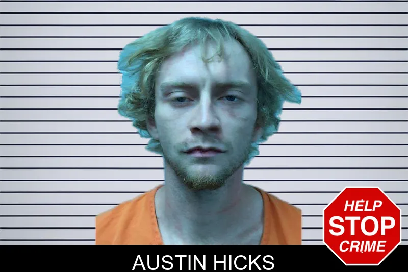 Austin Hicks mugshot – Dade County , Georgia Austin Hicks mugshot