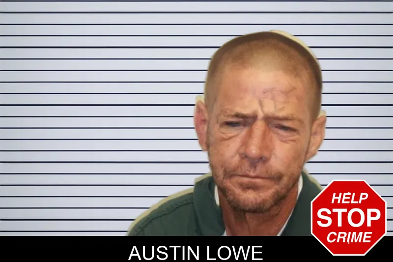Austin Lowe mugshot – Chatham County , Georgia Austin Lowe mugshot