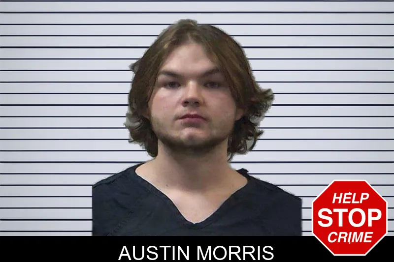 Austin Morris mugshot – Gilmer County , Georgia Austin Morris mugshot