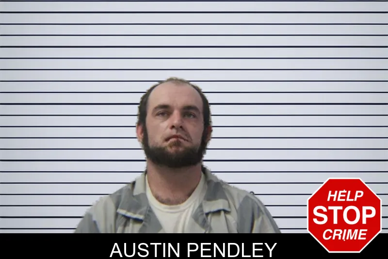 Austin Pendley mugshot – Stephens County , Georgia Austin Pendley mugshot