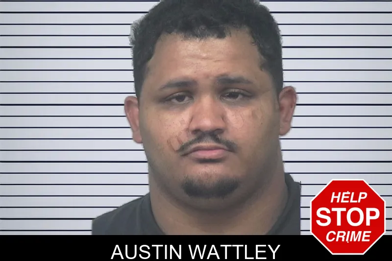 Austin Wattley mugshot – Gwinnett County , Georgia Austin Wattley mugshot