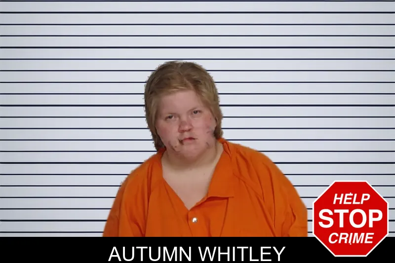 Autumn Whitley mugshot – Rockdale County , Georgia Autumn Whitley mugshot