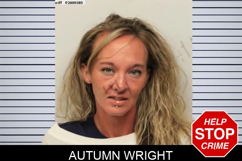 Autumn Wright mugshot – Chatham County , Georgia Autumn Wright mugshot