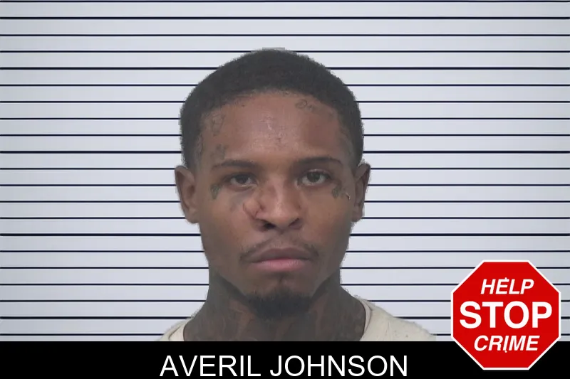 Averil Johnson mugshot – Gwinnett County , Georgia Averil Johnson mugshot
