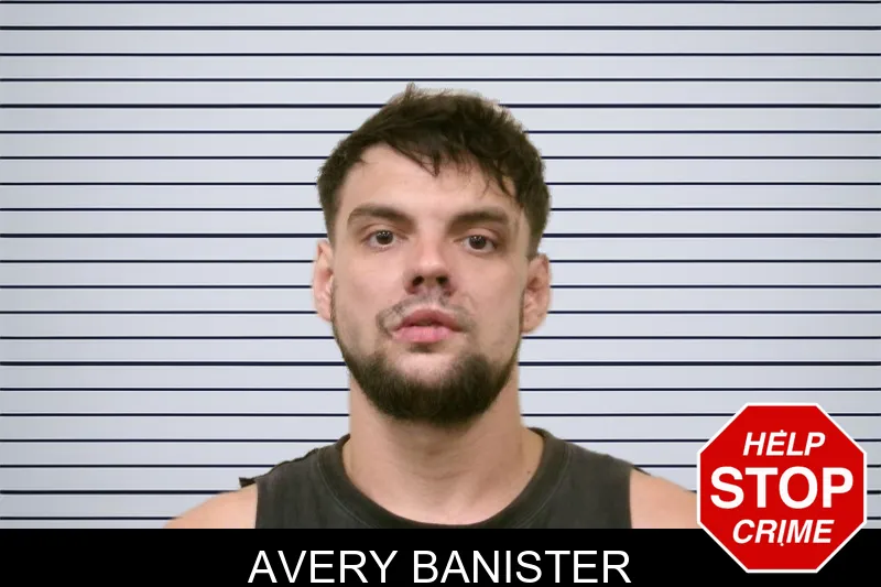 Avery Banister mugshot – Bulloch County , Georgia Avery Banister mugshot