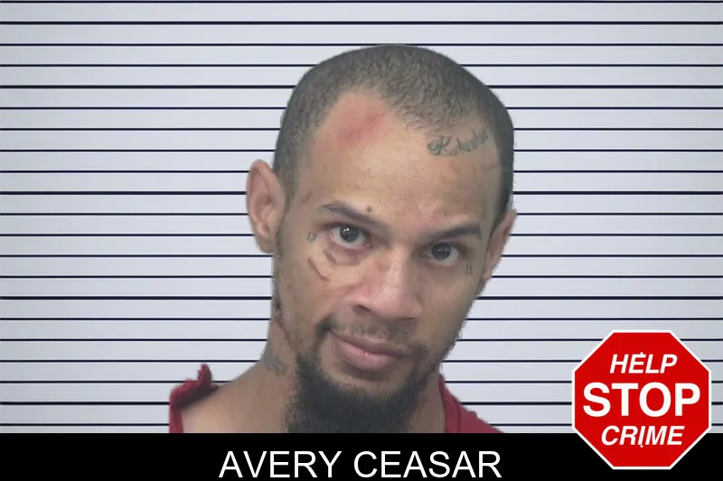 Avery Ceasar mugshot – Gwinnett County , Georgia Avery Ceasar mugshot
