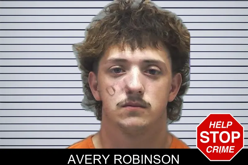 Avery Robinson mugshot – Cherokee County , Georgia Avery Robinson mugshot