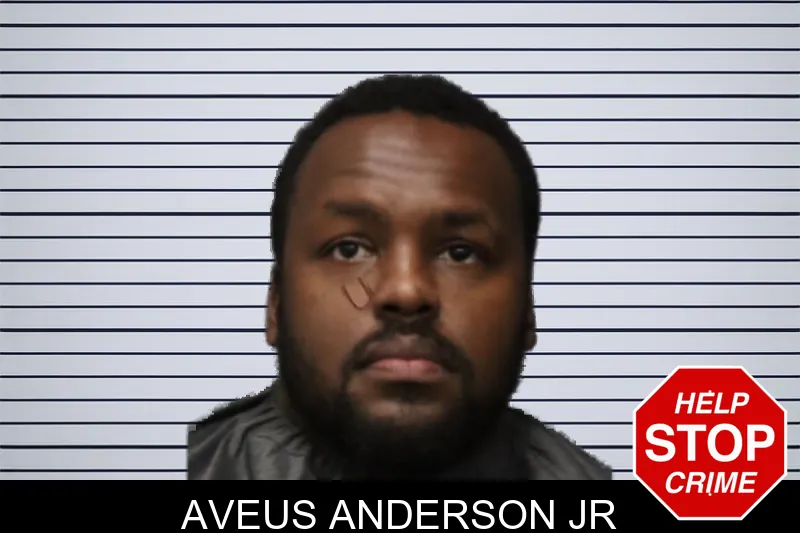 Aveus Anderson Jr mugshot – Forsyth County , Georgia Aveus Anderson Jr mugshot