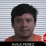 Avila Perez mugshot – Fannin County , Georgia Avila Perez mugshot