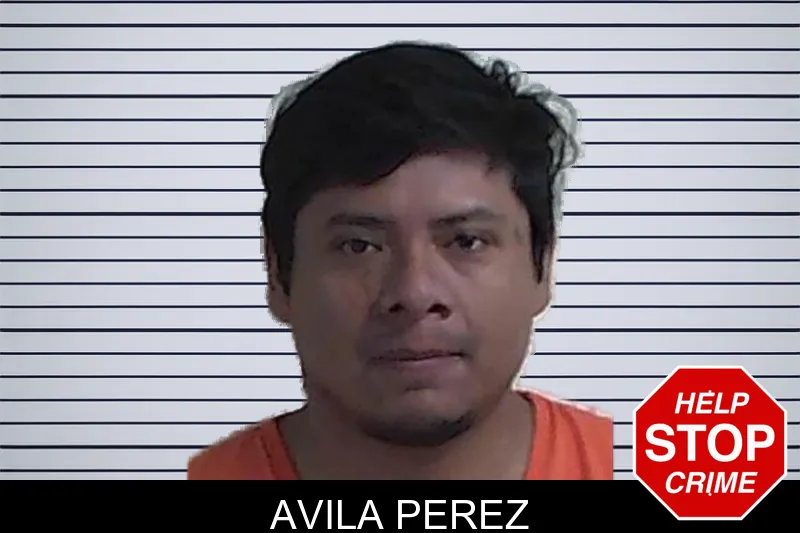 Avila Perez mugshot – Fannin County , Georgia Avila Perez mugshot