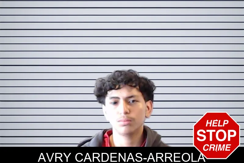 Avry Cardenas-Arreola mugshot – DeKalb County , Georgia Avry Cardenas-Arreola mugshot