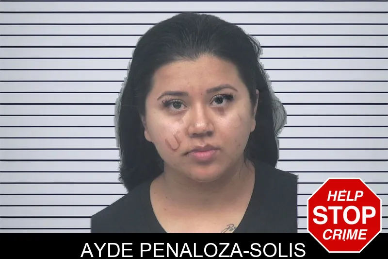 Ayde Penaloza-Solis mugshot