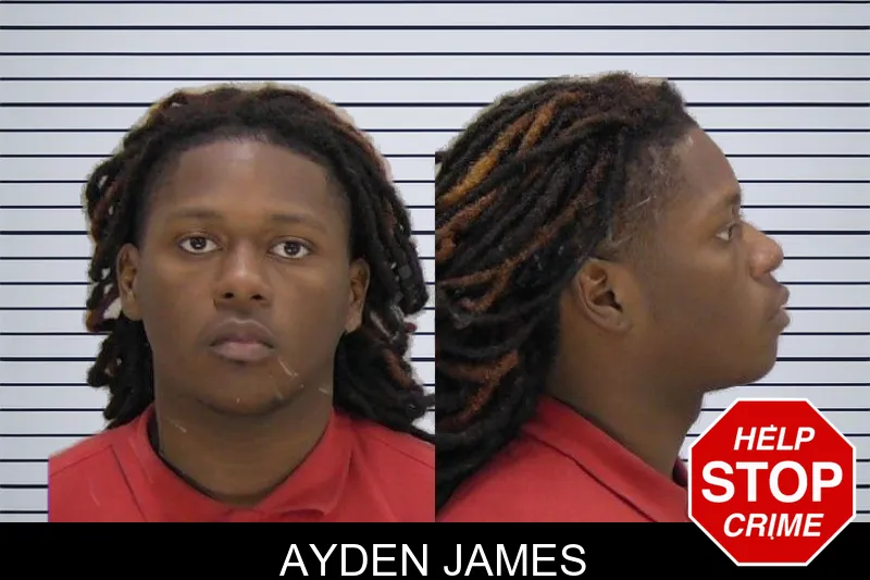 Ayden James mugshot