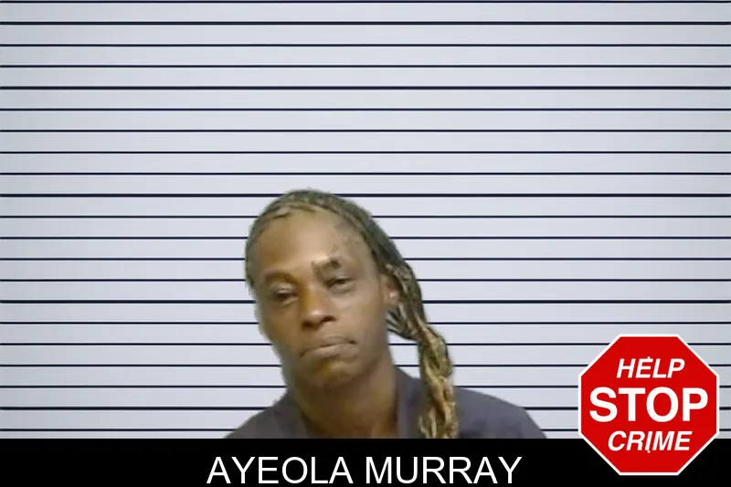 Ayeola Murray mugshot – Fulton County , Georgia Ayeola Murray mugshot