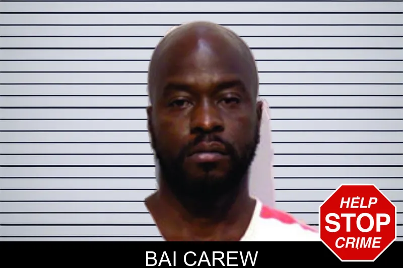 Bai Carew mugshot – Bartow County , Georgia Bai Carew mugshot