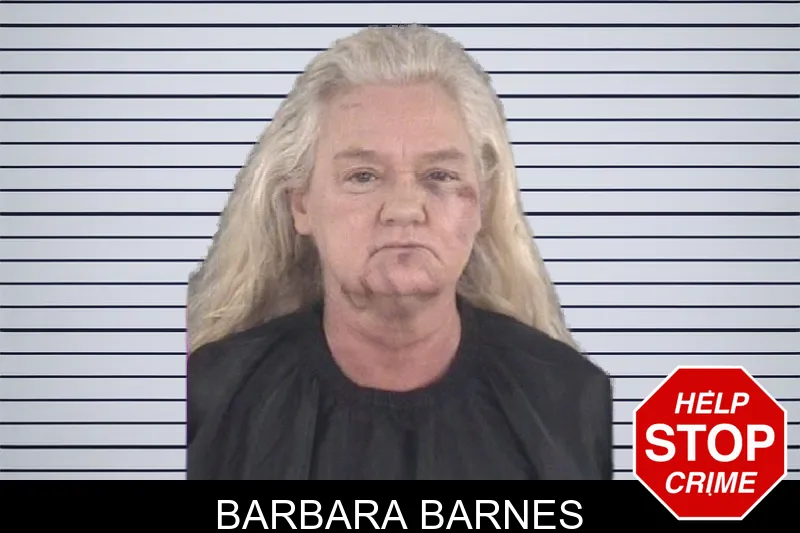 Barbara Barnes mugshot