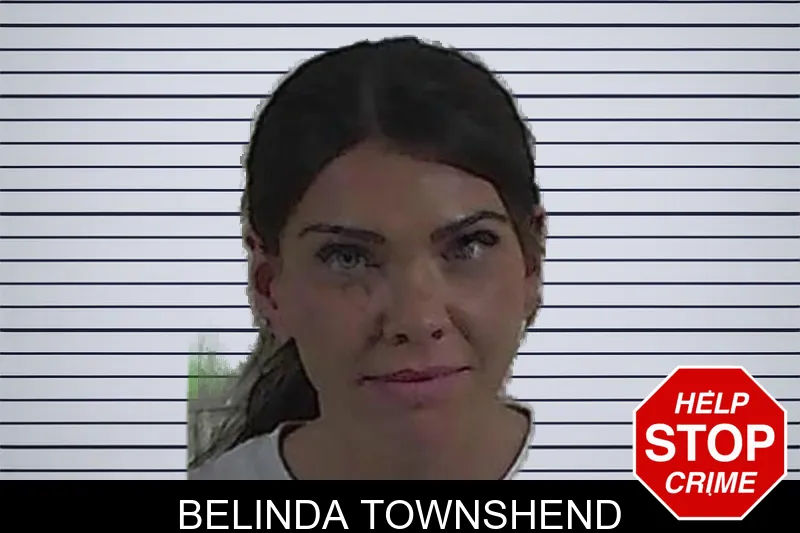 Belinda Townshend mugshot – Fannin County , Georgia Belinda Townshend mugshot