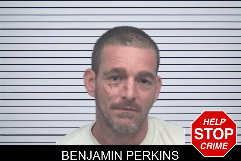 Benjamin Perkins mugshot – Gwinnett County , Georgia Benjamin Perkins mugshot