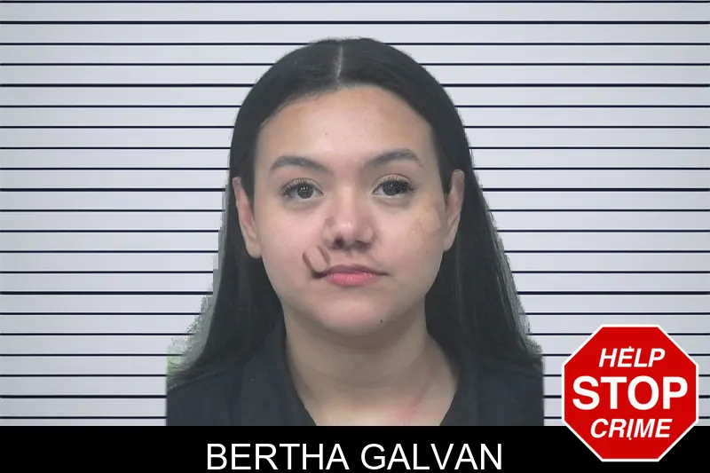 Bertha Galvan mugshot – Gwinnett County , Georgia Bertha Galvan mugshot