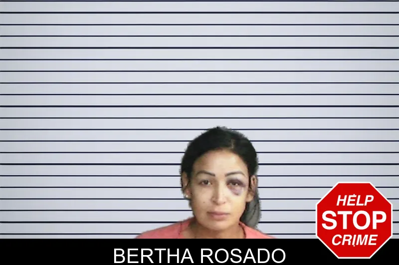 Bertha Rosado mugshot – Twiggs County , Georgia Bertha Rosado mugshot