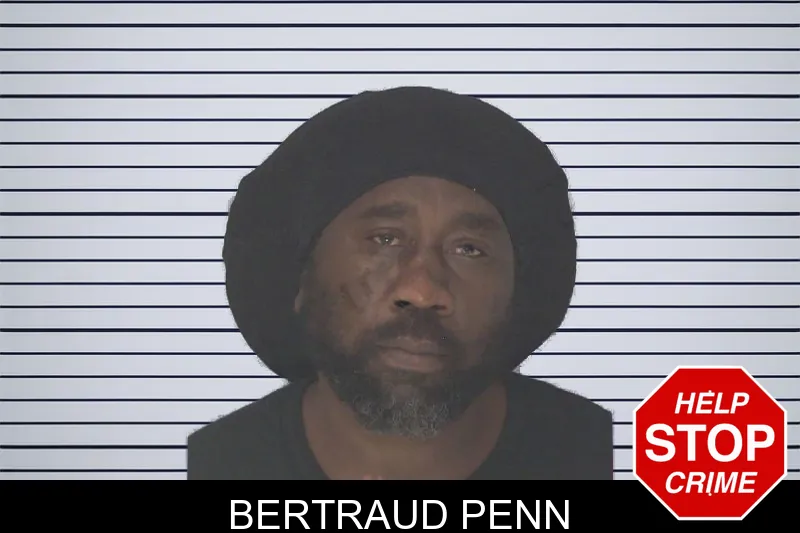 Bertraud Penn mugshot – Douglas County , Georgia Bertraud Penn mugshot