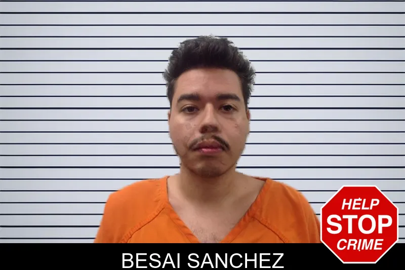 Besai Sanchez mugshot – Pickens County , Georgia Besai Sanchez mugshot