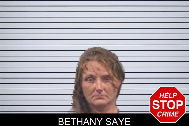 Bethany Saye mugshot – Banks County , Georgia Bethany Saye mugshot