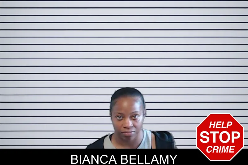 Bianca Bellamy mugshot – DeKalb County , Georgia Bianca Bellamy mugshot