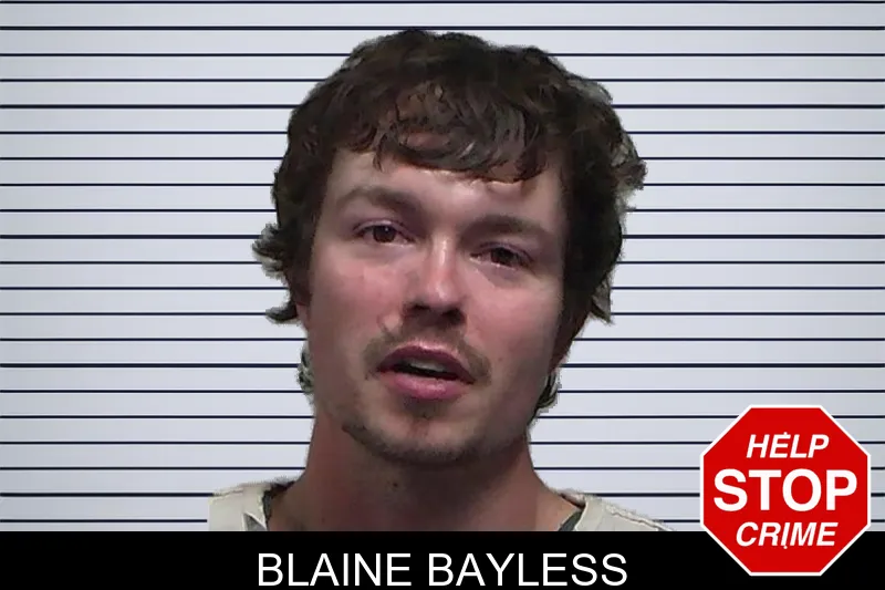 Blaine Bayless mugshot
