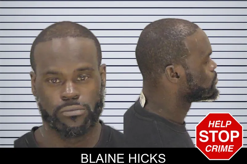 Blaine Hicks mugshot – Richmond County , Georgia Blaine Hicks mugshot