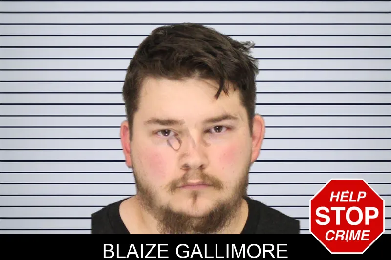 Blaize Gallimore mugshot – Cobb County , Georgia Blaize Gallimore mugshot