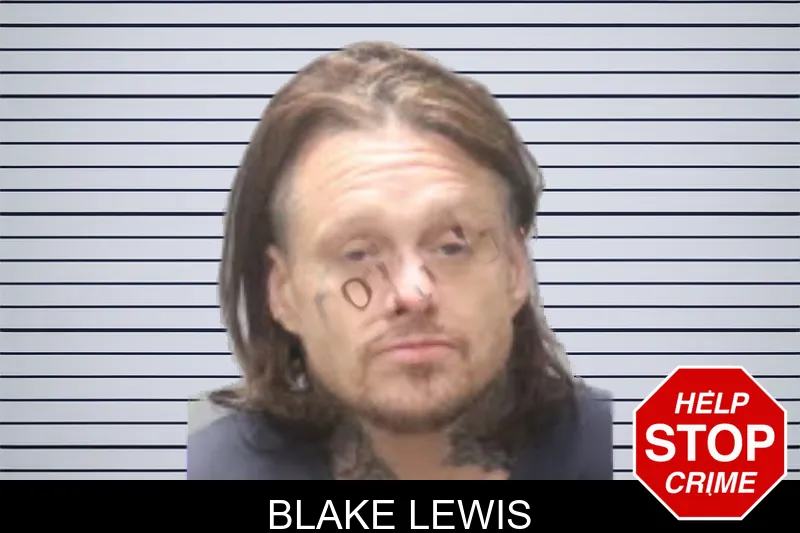 Blake Lewis mugshot
