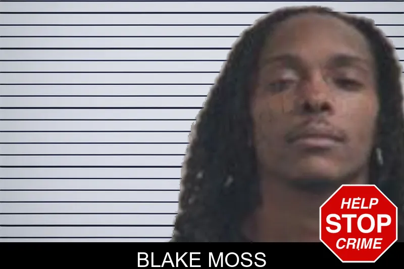 Blake Moss mugshot