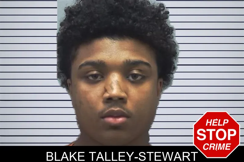 Blake Talley-Stewart mugshot