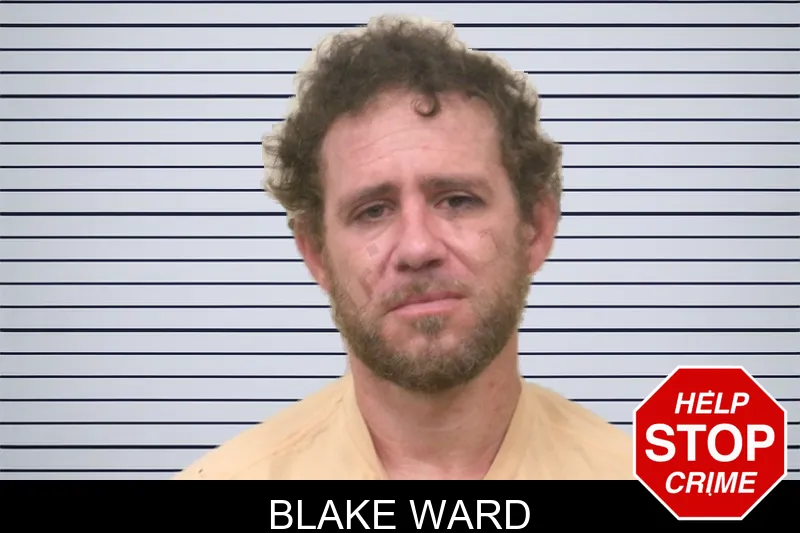 Blake Ward mugshot – Bulloch County , Georgia Blake Ward mugshot