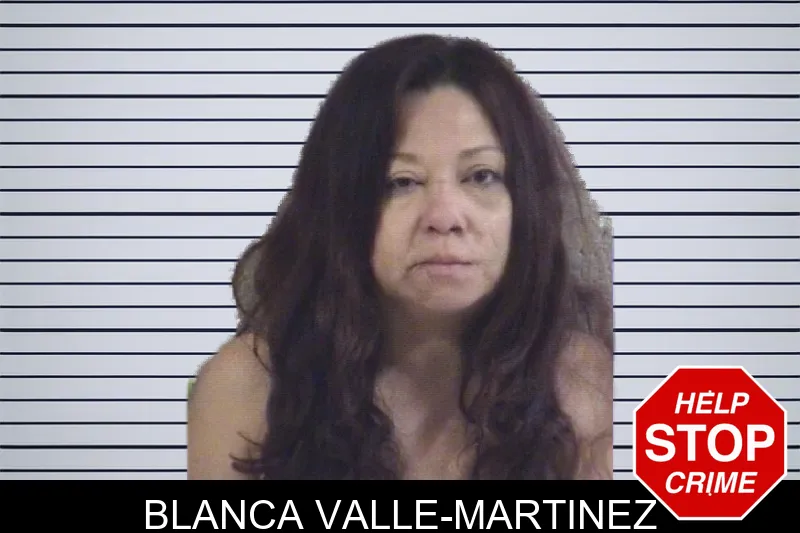 Blanca Valle-Martinez mugshot