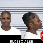 Blossom Lee mugshot – Camden County , Georgia Blossom Lee mugshot