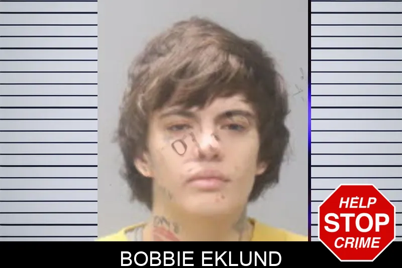 Bobbie Eklund mugshot