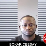 Bokar Ceesay mugshot – DeKalb County , Georgia Bokar Ceesay mugshot