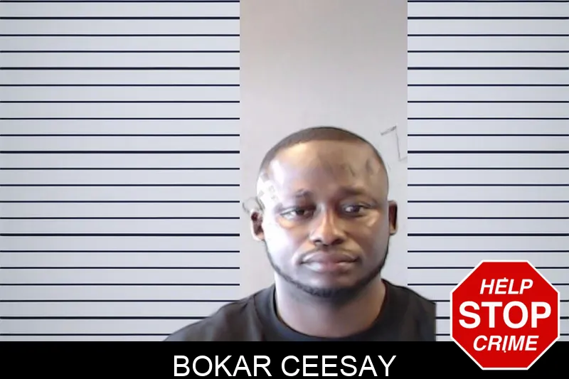 Bokar Ceesay mugshot – DeKalb County , Georgia Bokar Ceesay mugshot