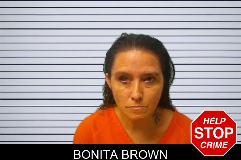 Bonita Brown mugshot – Franklin County , Georgia Bonita Brown mugshot