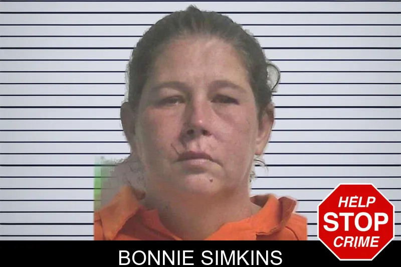 Bonnie Simkins mugshot – Colquitt County , Georgia Bonnie Simkins mugshot