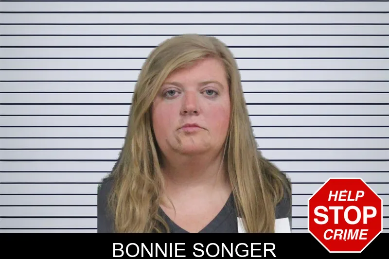 Bonnie Songer mugshot – Catoosa County , Georgia Bonnie Songer mugshot