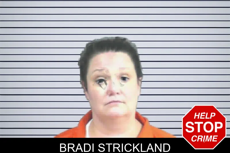 Bradi Strickland mugshot – Mitchell County , Georgia Bradi Strickland mugshot