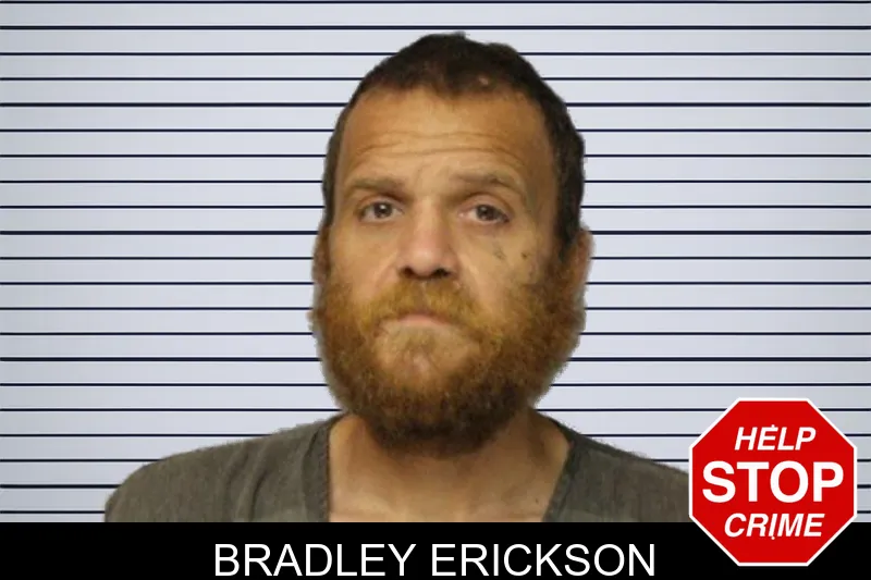 Bradley Erickson mugshot – Hall County , Georgia Bradley Erickson mugshot