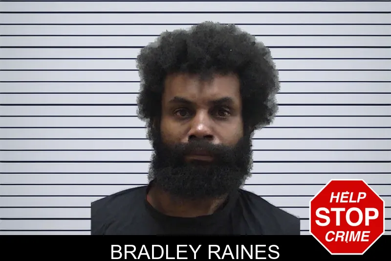Bradley Raines mugshot