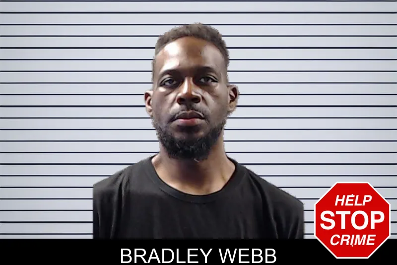 Bradley Webb mugshot – DeKalb County , Georgia Bradley Webb mugshot