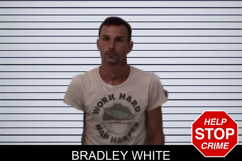 Bradley White mugshot – Emanuel County , Georgia Bradley White mugshot