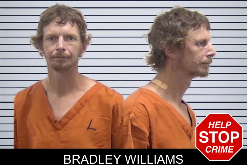 Bradley Williams mugshot