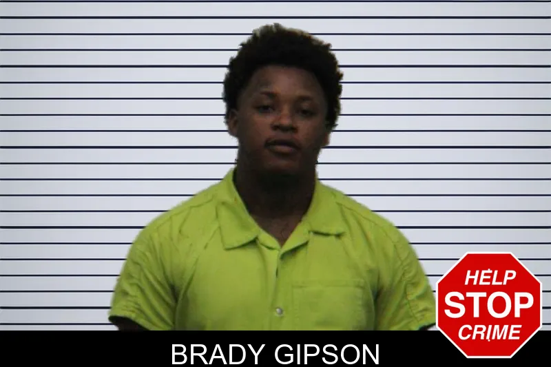 Brady Gipson mugshot – Turner County , Georgia Brady Gipson mugshot